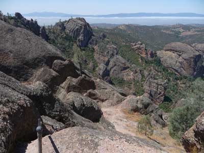 California California