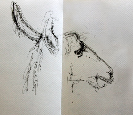 Llamadrawing Llamadrawing