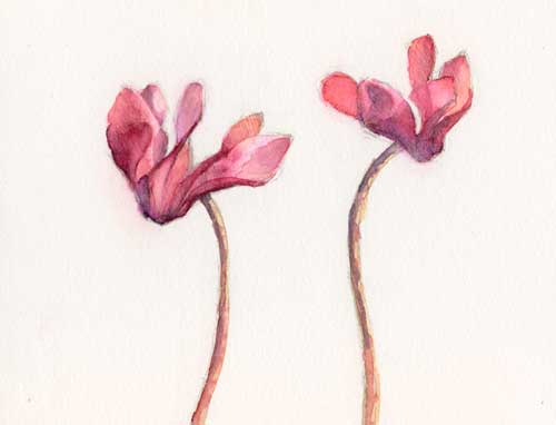 Watercolor-30 minutes Arches #300 hot press watercolor paper