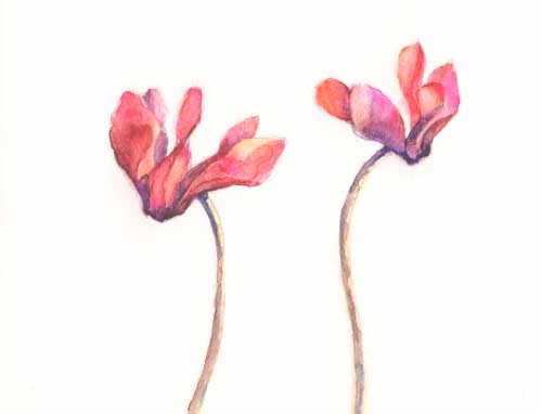 Watercolor-60 minutes Arches #300 hot press watercolor paper