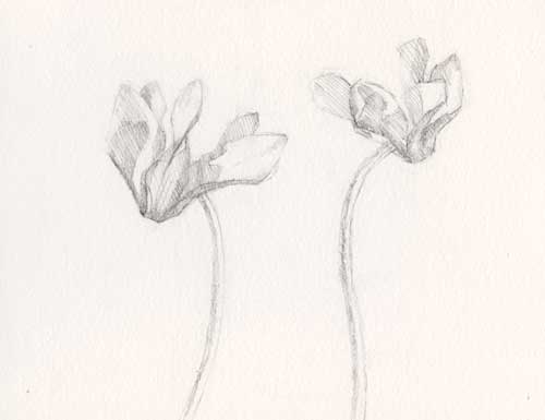 Pencil sketch Arches #300 hot press watercolor paper