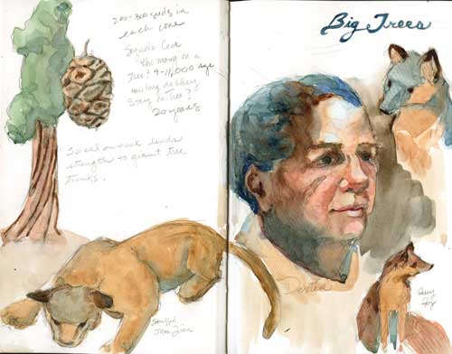 Spread from AnimalScapes sketchbook at California Big Trees State Park Stilman& Birn Zeta Series Sketchbook