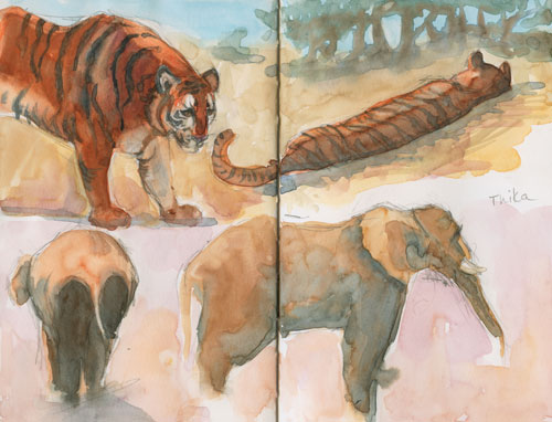 Tigers and elephants at PAWS Watercolor in Stilman & Birn Zeta Series 