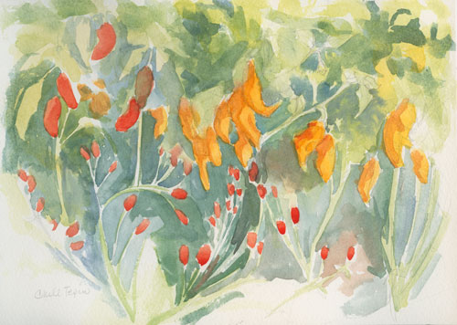 Pepper patch Watercolor sketch in Cachet watercolor sketchbook