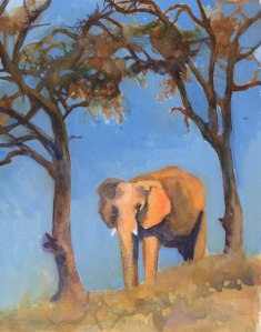 Thika on the hill at PAWS