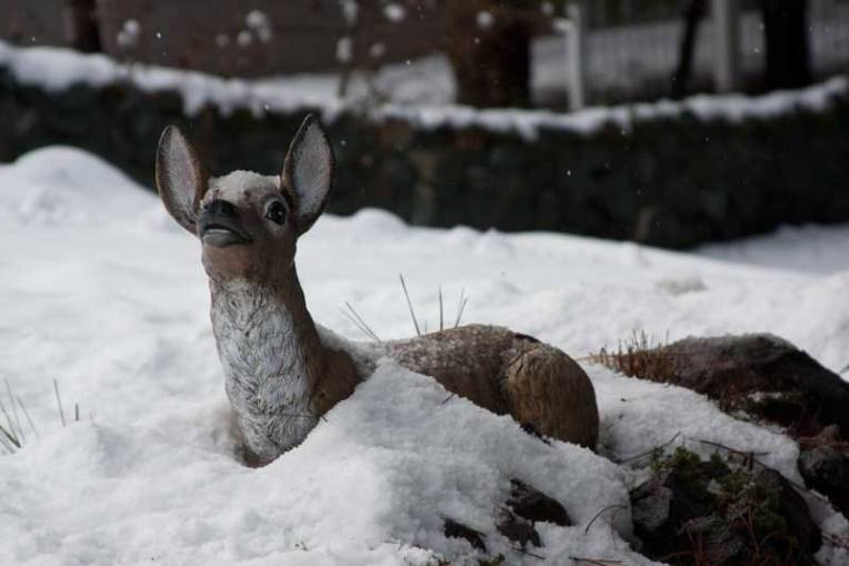 Deer statue