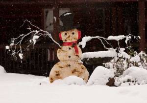 snowman